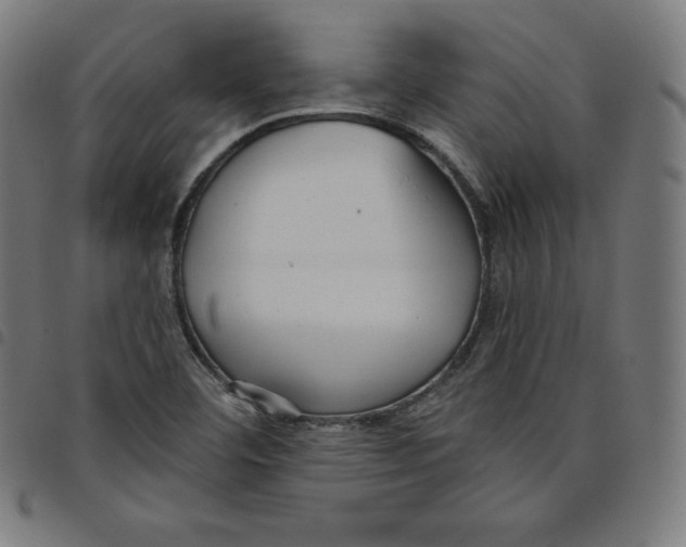 X0000098051460200804251052