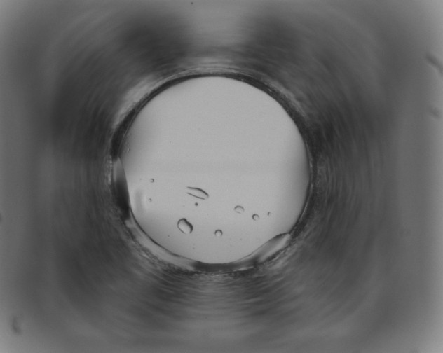 X0000098051461200804251052