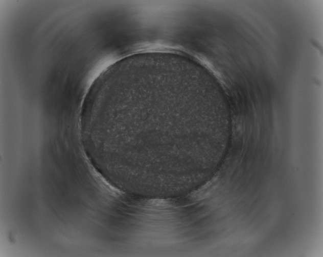 X0000098051463200804251052