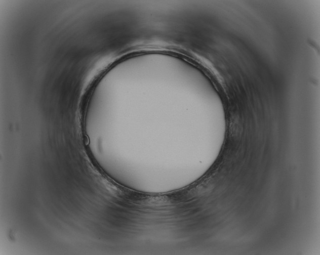 X0000098051464200804251052