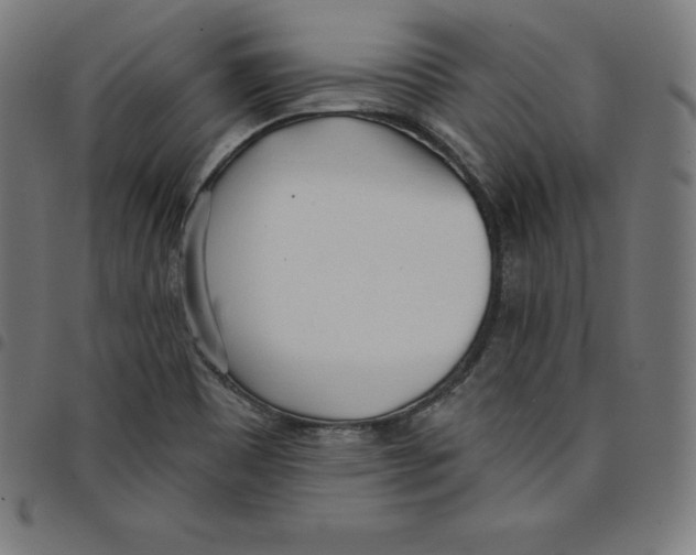 X0000098051465200804251052