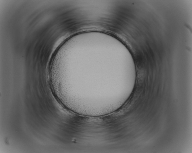 X0000098051466200804251052