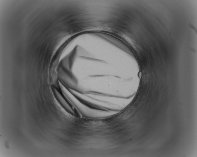 X0000098051468200804251052