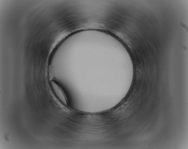 X0000098051469200804251052