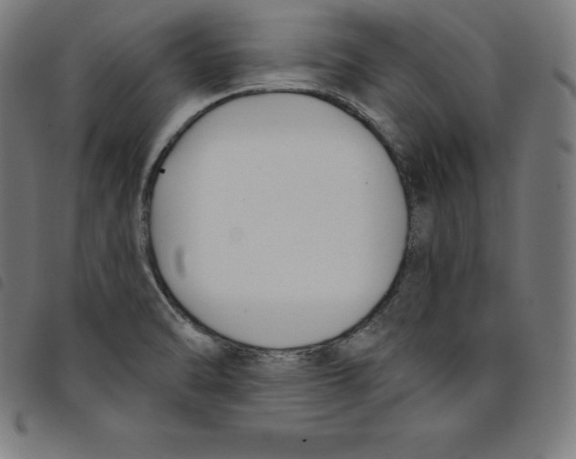 X0000098051470200804251052