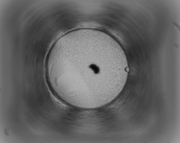 X0000098051471200804251052