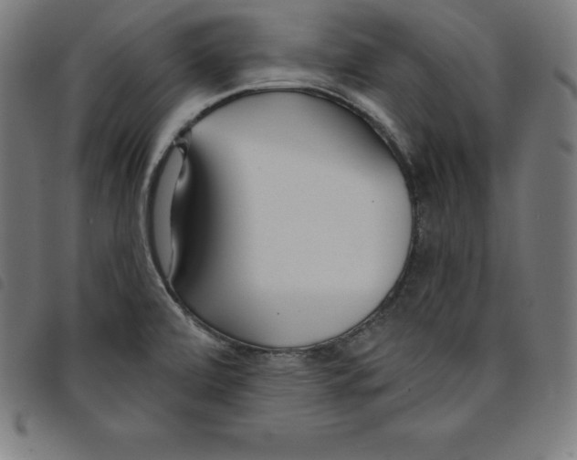 X0000098051472200804251052