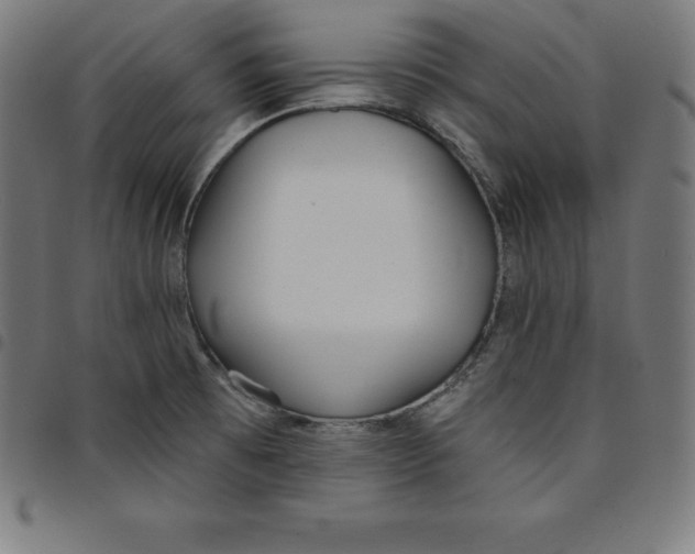 X0000098051473200804251051