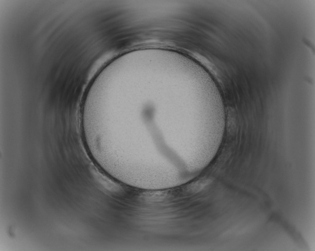 X0000098051474200804251051