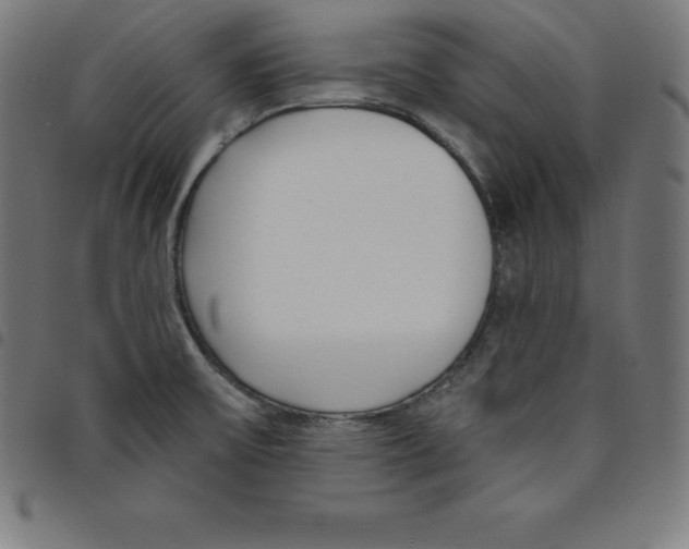 X0000098051475200804251051