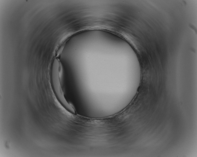 X0000098051476200804251051