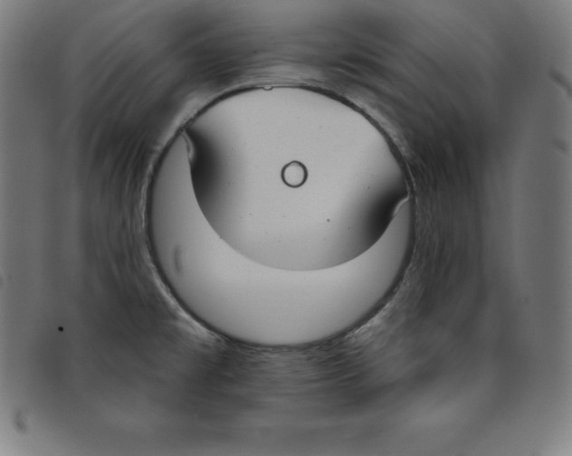 X0000098051477200804251051