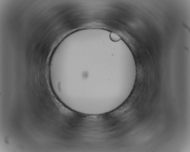 X0000098051478200804251051