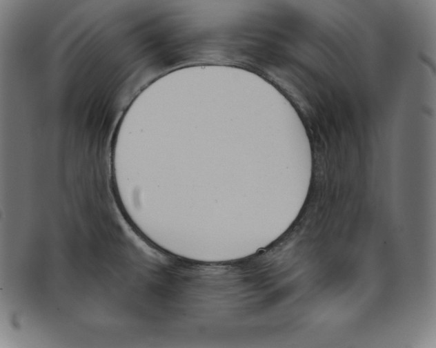 X0000098051479200804251051