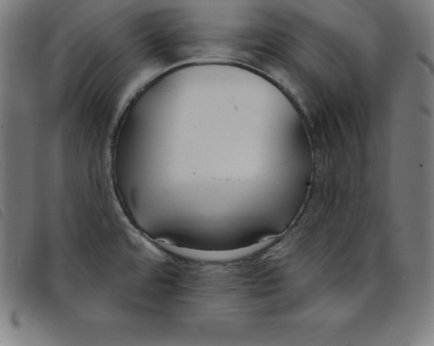 X0000098051480200804251051