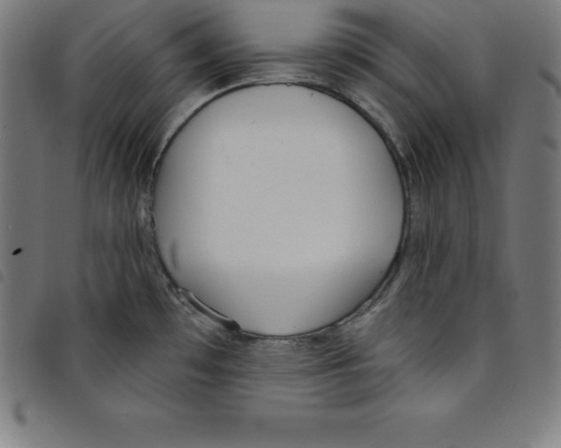 X0000098051481200804251051