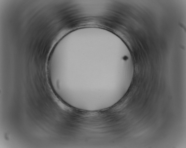 X0000098051482200804251051