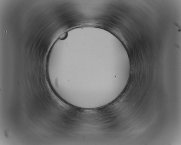 X0000098051483200804251051