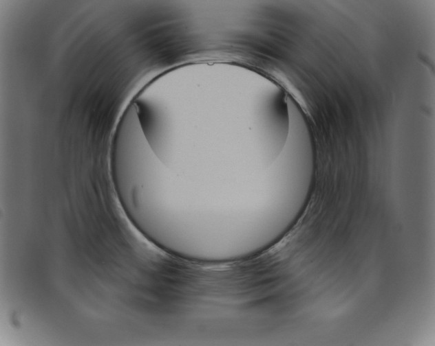 X0000098051484200804251051