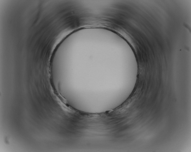 X0000098051485200804251051