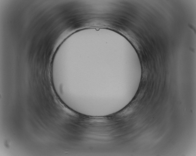 X0000098051486200804251051