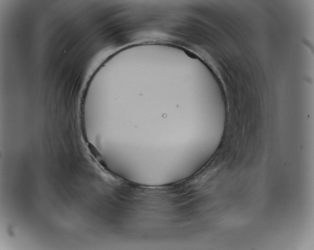 X0000098051488200804251051