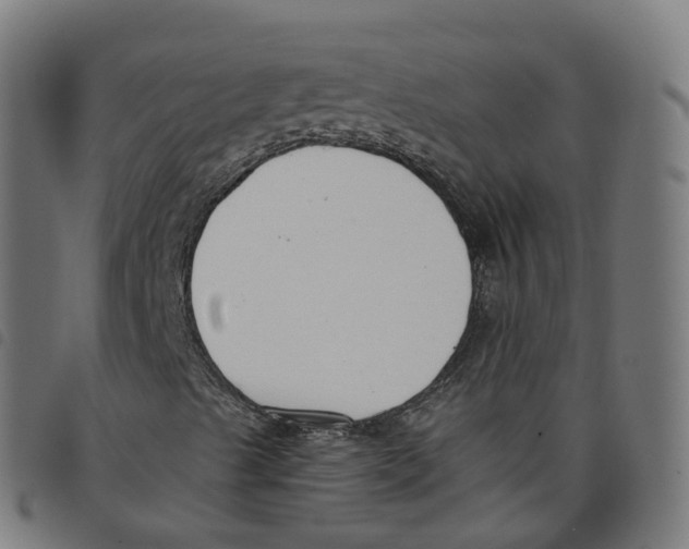 X0000098051489200804251051