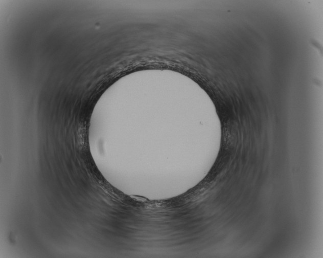 X0000098051490200804251051