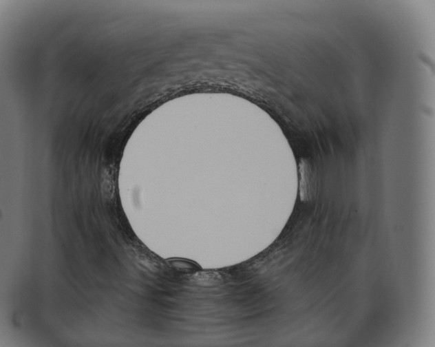 X0000098051491200804251051