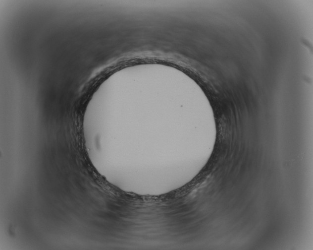 X0000098051494200804251051