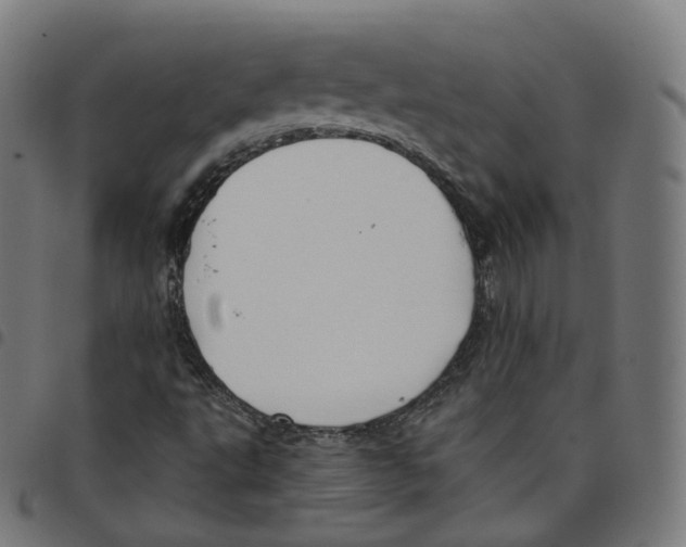 X0000098051495200804251051