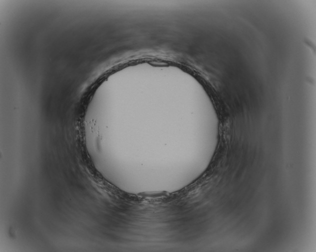 X0000098051496200804251051