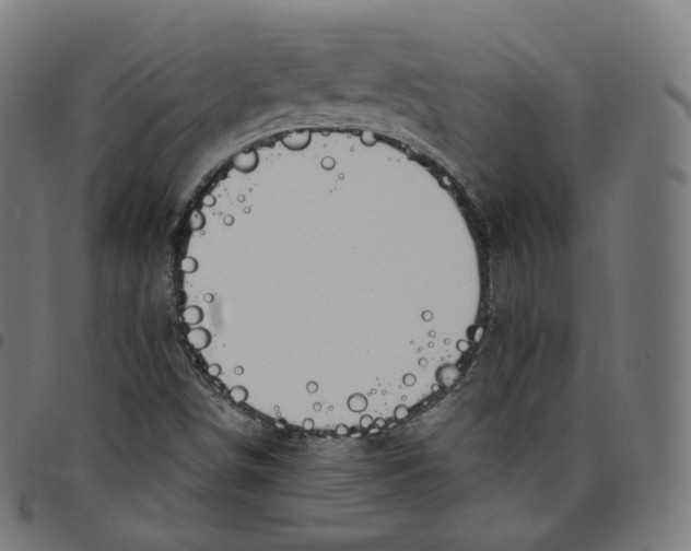 X0000098051498200804251051