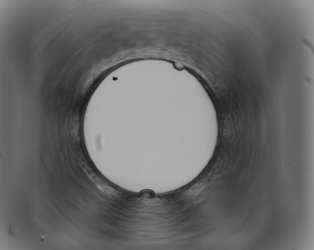 X0000098051499200804251051