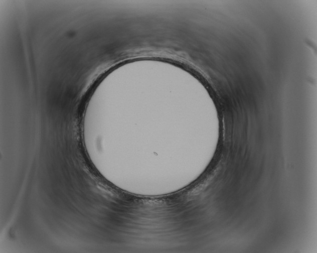 X0000098051501200804251051