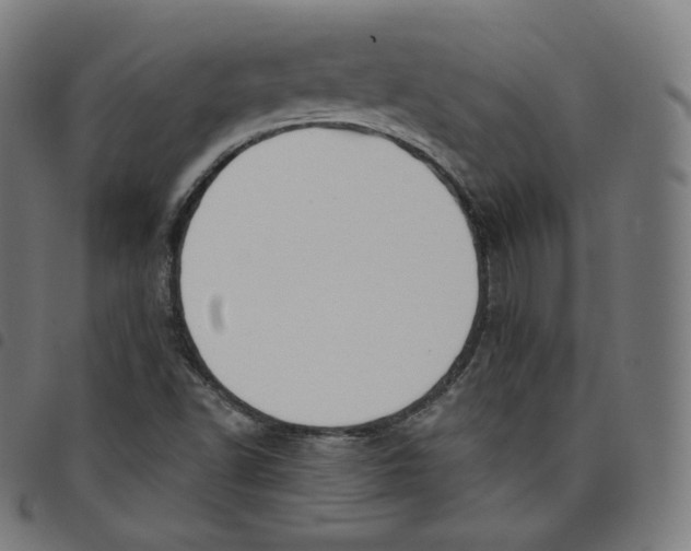 X0000098051502200804251051