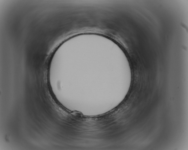 X0000098051504200804251051