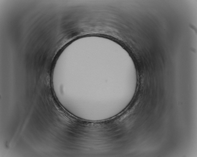 X0000098051505200804251051