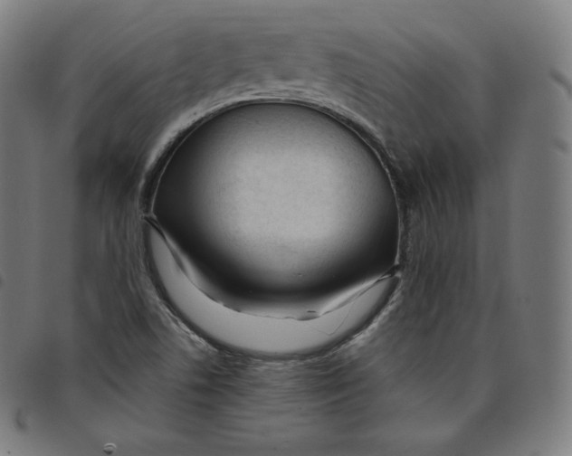 X0000098051506200804251051