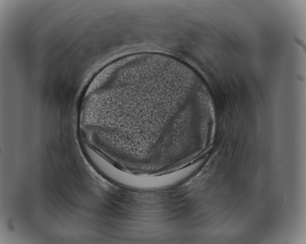 X0000098051508200804251051