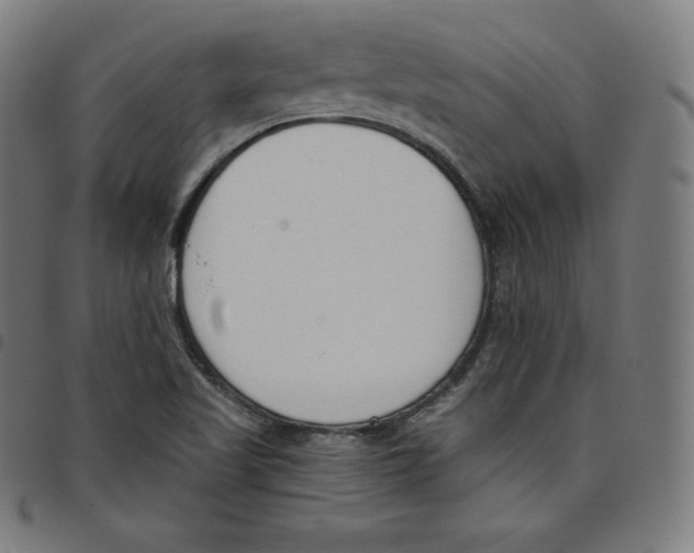 X0000098051509200804251051