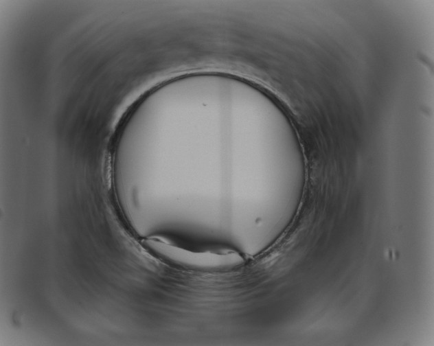 X0000098051510200804251051