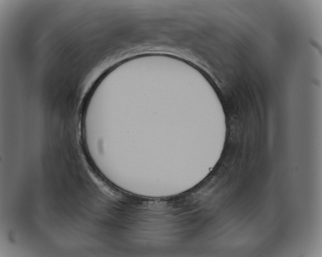 X0000098051511200804251051