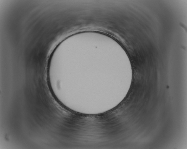 X0000098051512200804251051