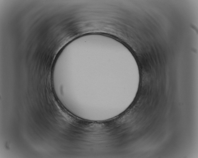 X0000098051513200804251051