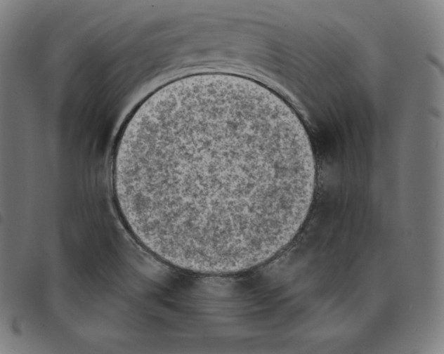 X0000098051514200804251051