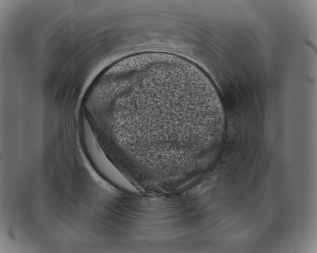 X0000098051515200804251051