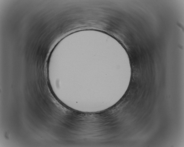 X0000098051516200804251051