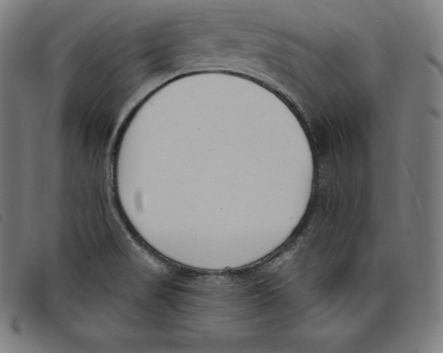 X0000098051517200804251051