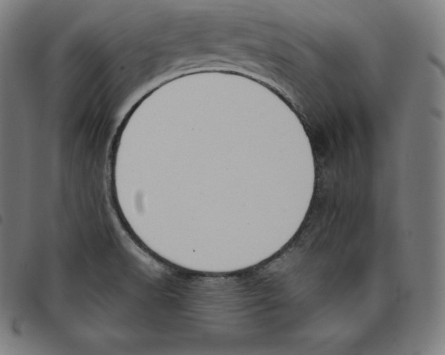 X0000098051518200804251051